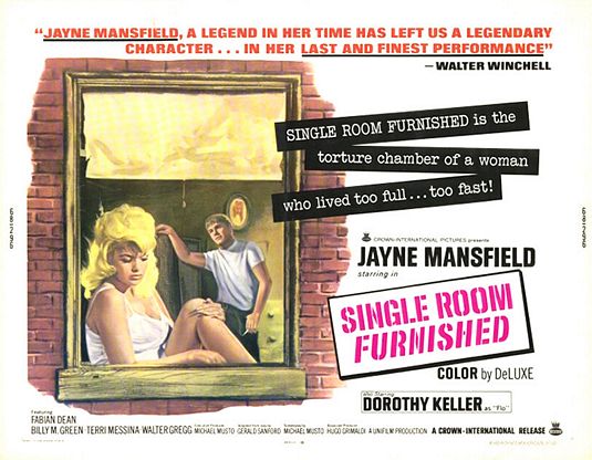 Single Room Furnished - Plakate