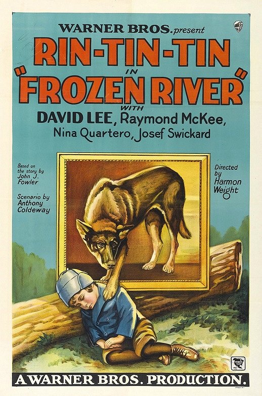 Frozen River - Plakátok