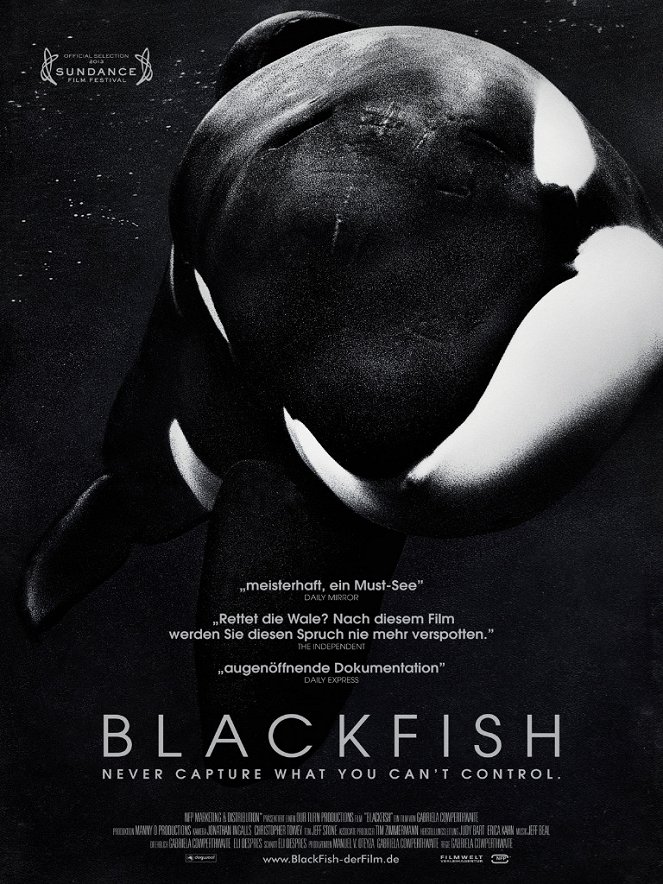 Blackfish - Plakate