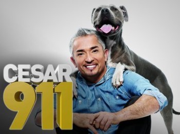 Notruf Hund - Einsatz für Cesar - Plakate