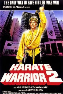 Karate Warrior 2 - Posters