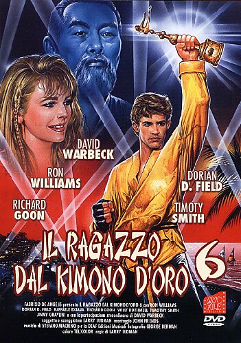 Karate Warrior 6 - Plakate