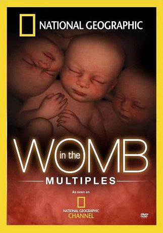 In the Womb: Multiples - Cartazes