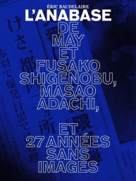 L'Anabase de May et Fusako Shigenobu, Masao Adachi et 27 années sans images - Cartazes