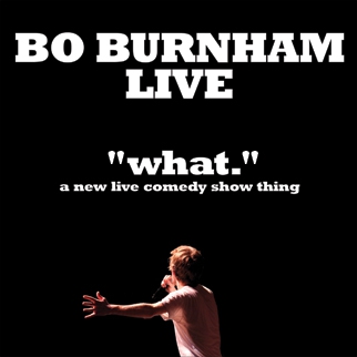 Bo Burnham: what. - Julisteet
