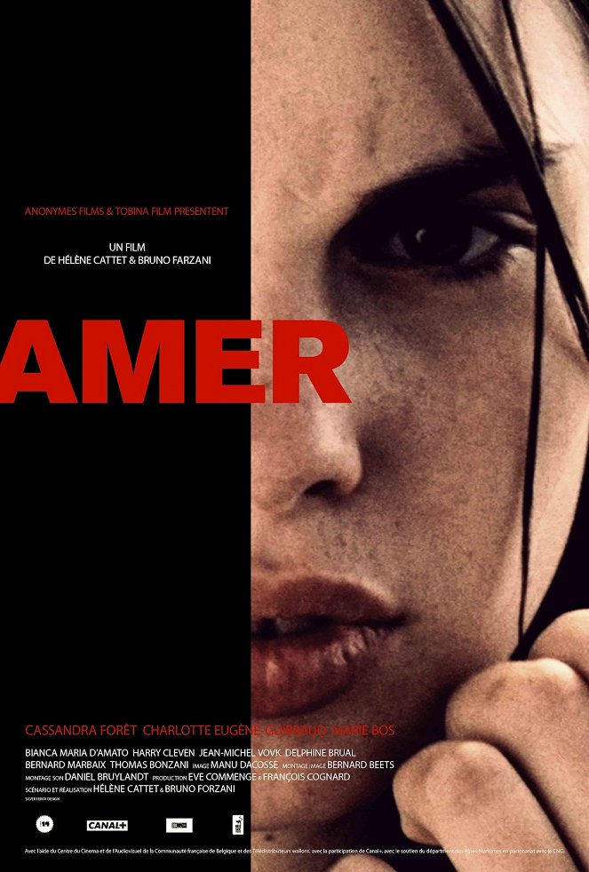 Amer - Posters