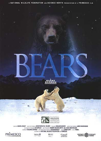 Bears - Affiches