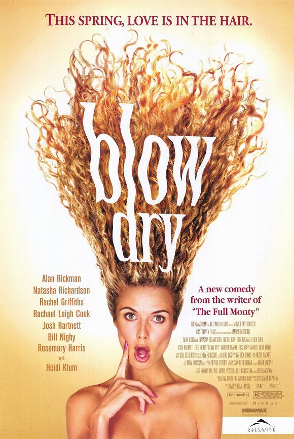 Blow Dry - Posters