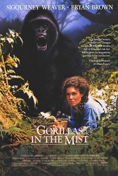 Gorillák a ködben - Plakátok