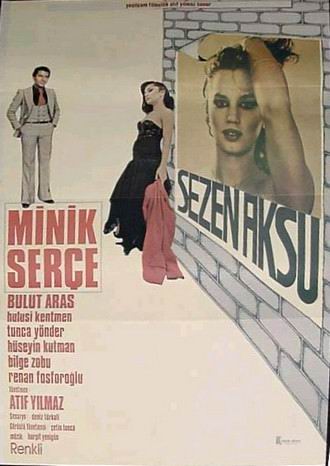 Minik Serçe - Plakate