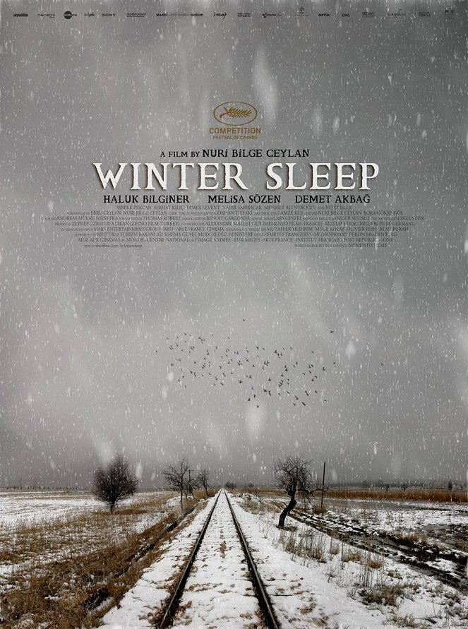 Winter Sleep - Posters