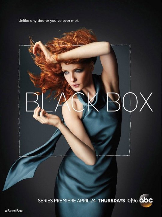 Black Box - Plakaty