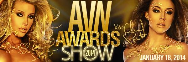The 31th Annual AVN Awards - Plakaty