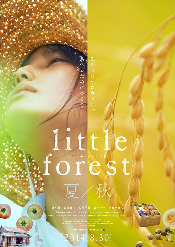 Little Forest: Nacu hen aki hen - Carteles