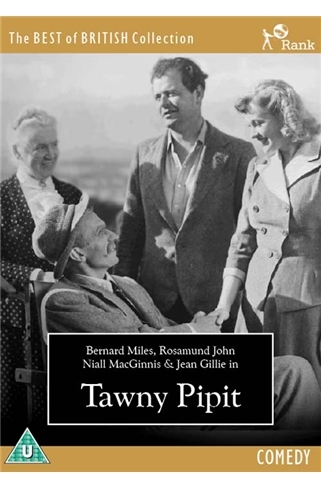 Tawny Pipit - Plakátok