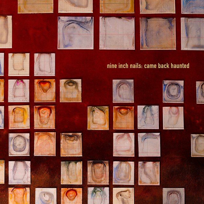 Nine Inch Nails - Came Back Haunted - Affiches