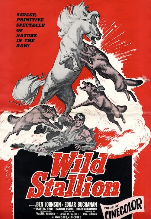 Wild Stallion - Posters