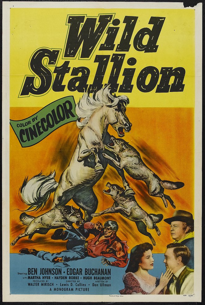 Wild Stallion - Posters