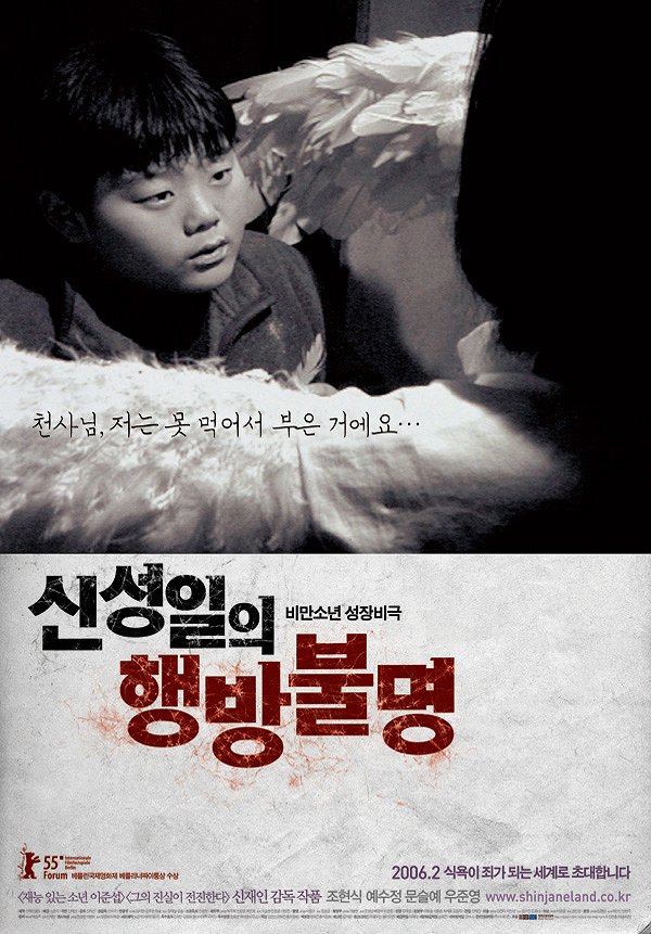 Shin Sung-Il Is Lost - Posters