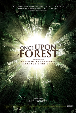 Once Upon a Forest - Posters