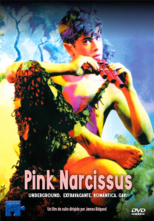 Pink Narcissus - Carteles