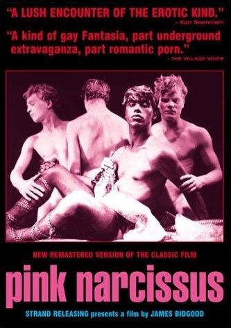 Pink Narcissus - Cartazes