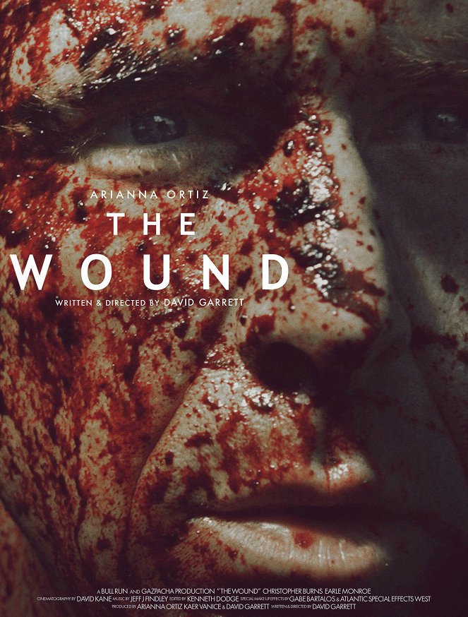 The Wound - Cartazes