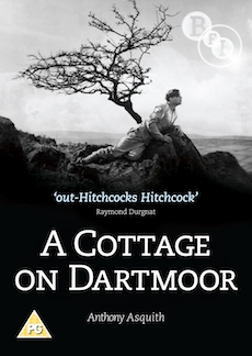 Cottage on Dartmoor, A - Plagáty