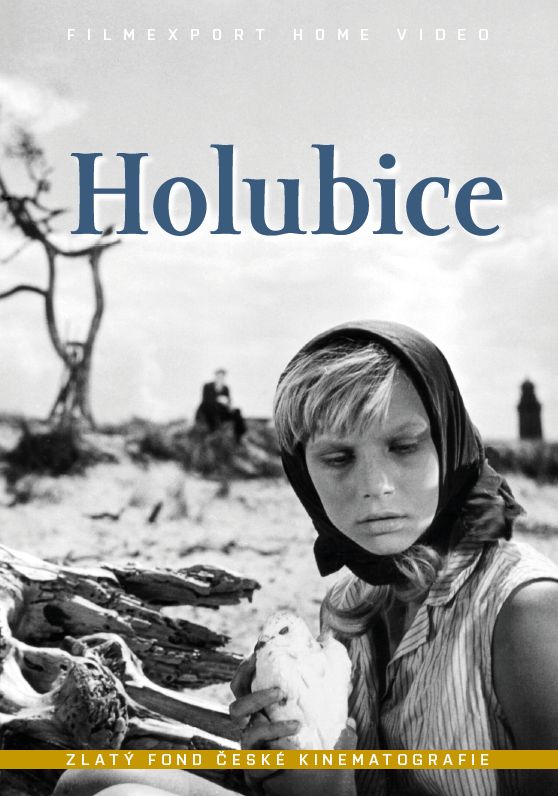 Holubice - Plakáty