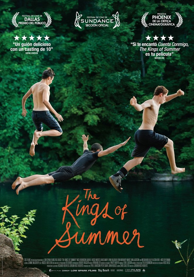 The Kings of Summer - Carteles