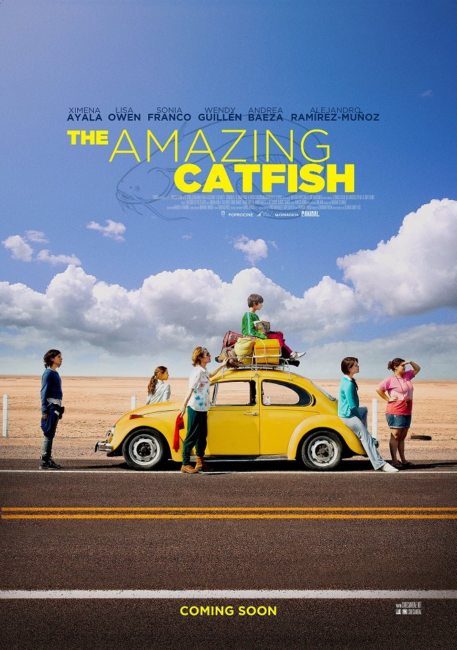 The Amazing Cat Fish - Posters