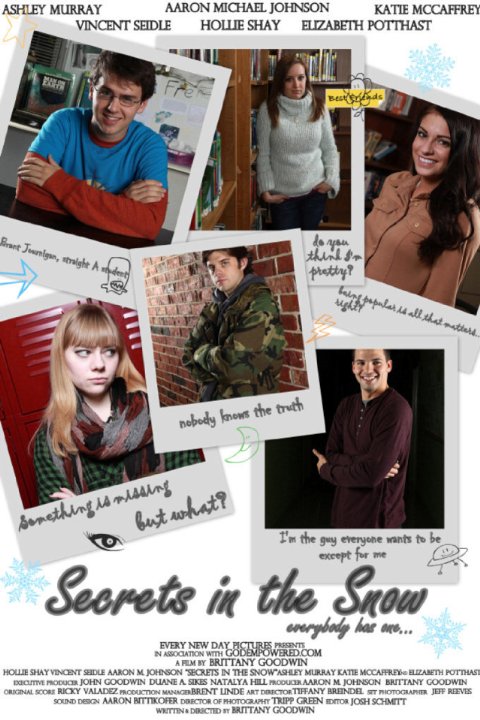 Secrets in the Snow - Posters