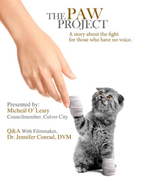 The Paw Project - Carteles