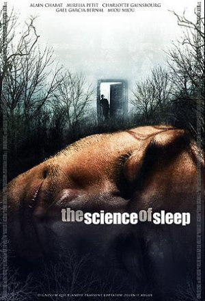 Science of Sleep, The - Julisteet