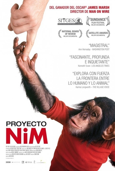 Proyecto Nim - Carteles