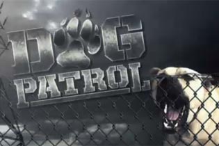 Dog Patrol - Cartazes