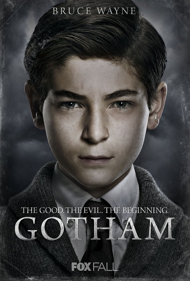 Gotham - Gotham - Season 1 - Plakaty