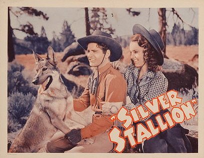 Silver Stallion - Plakaty