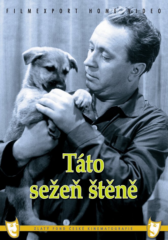 Táto, sežeň štěně! - Plakáty