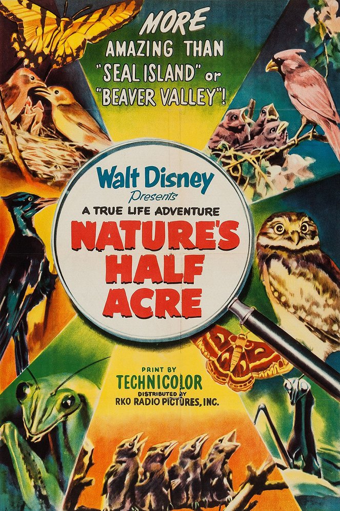 Nature's Half Acre - Plakátok
