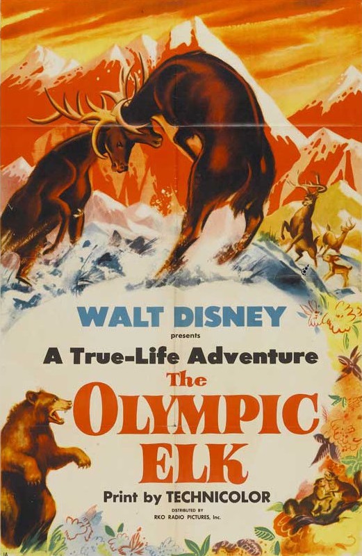 The Olympic Elk - Affiches