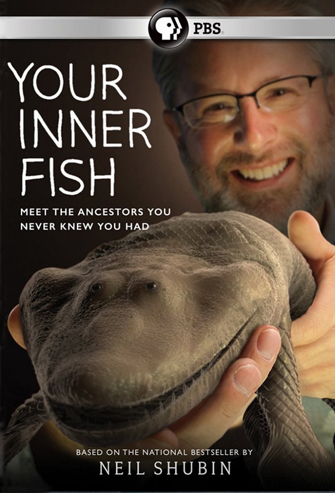 Your Inner Fish - Julisteet