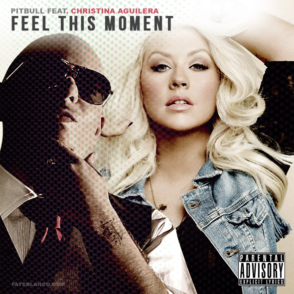 Pitbull feat. Christina Aguilera: Feel This Moment - Affiches