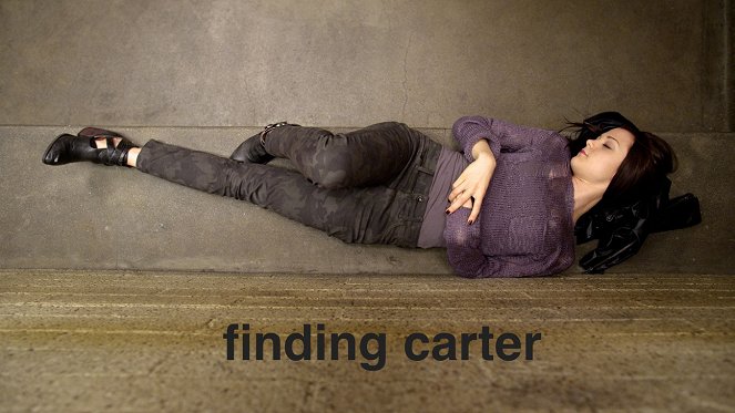 Finding Carter - Carteles