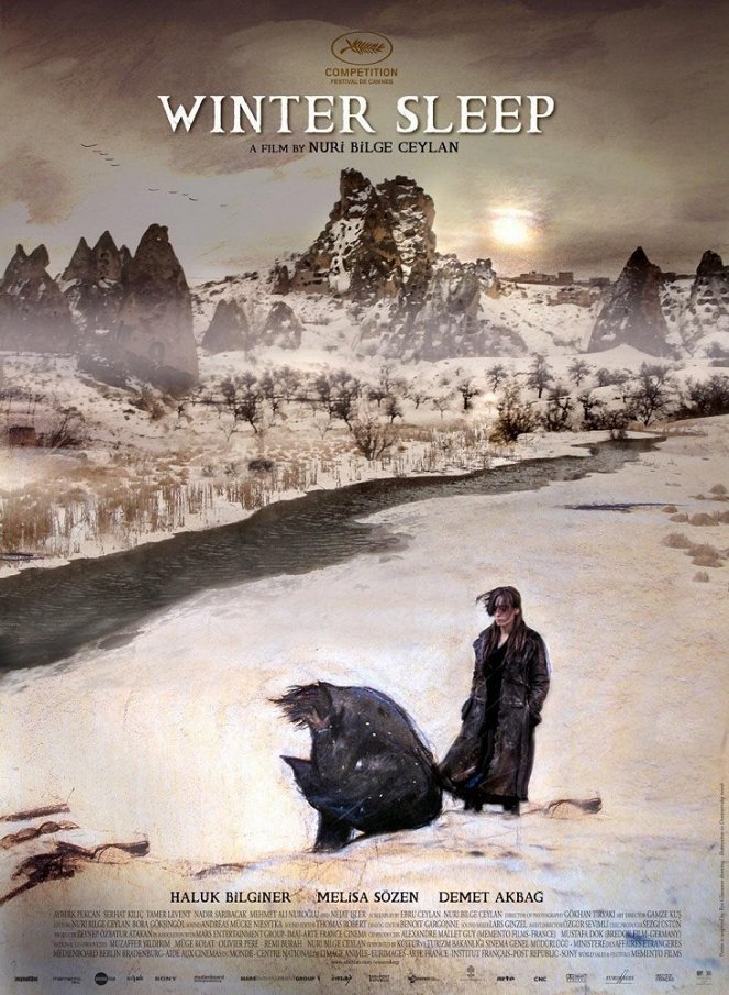 Zimowy sen - Plakaty