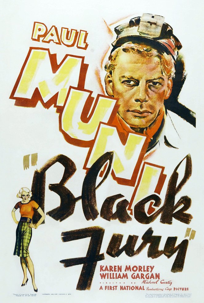Black Fury - Plakate