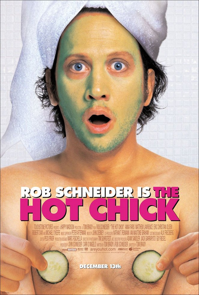 The Hot Chick - Posters