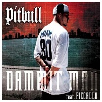 Pitbull feat. Piccallo - Dammit Man - Plakate