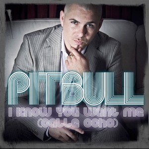 Pitbull - I Know You Want Me - Plakátok