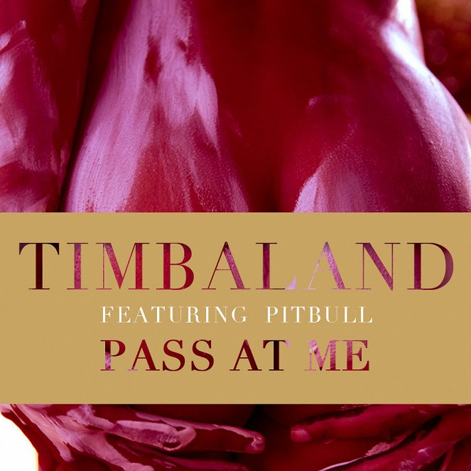 Timbaland feat. Pitbull - Pass At Me - Plakátok